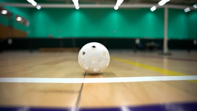 a pickleball 