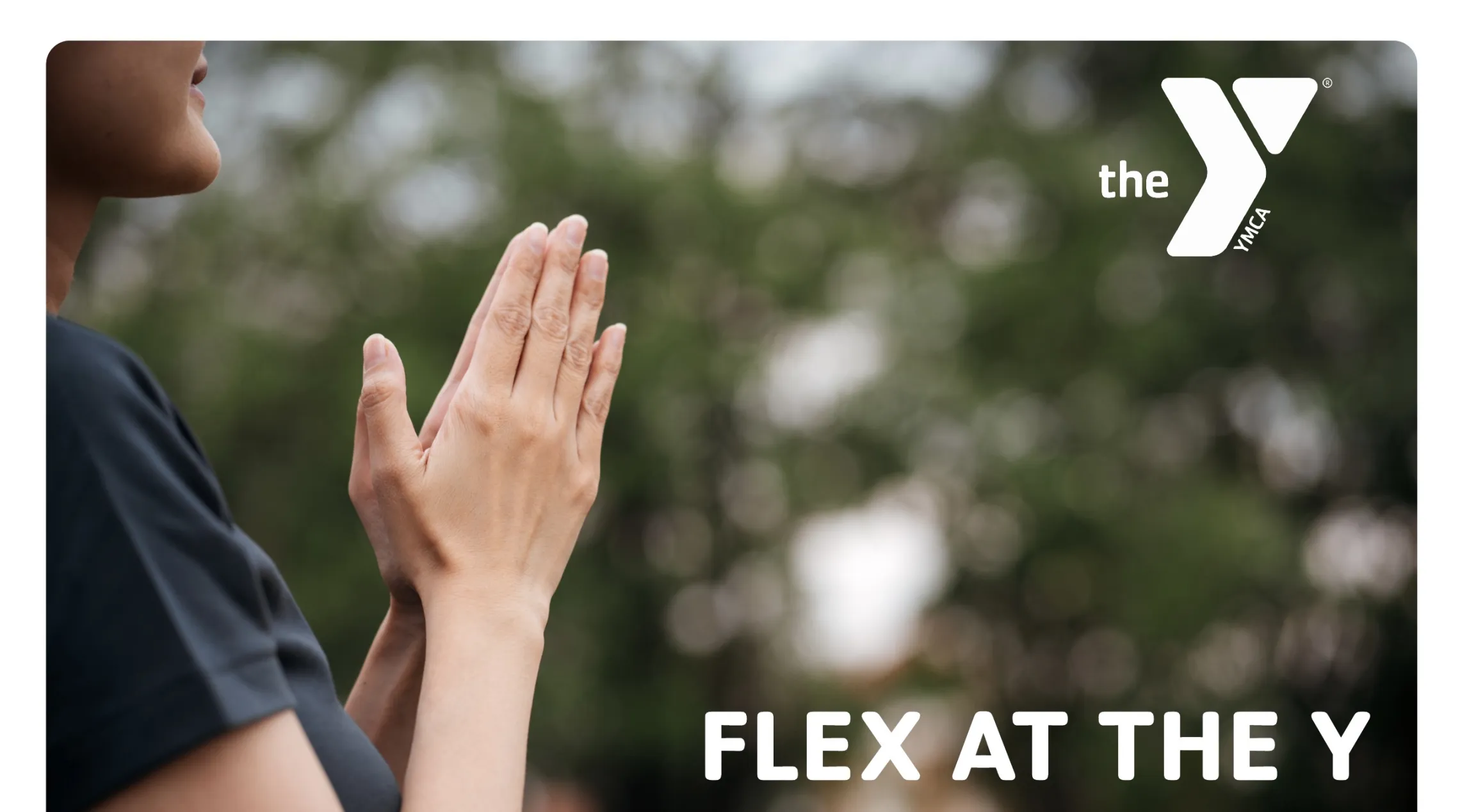 flex at the y