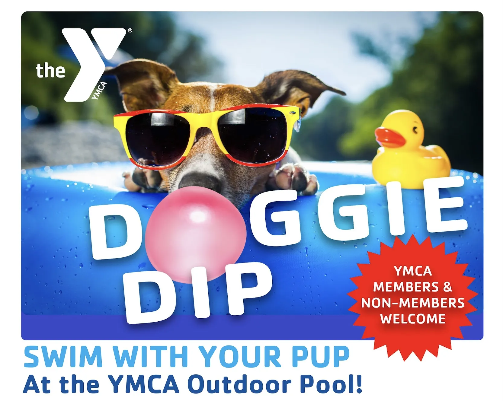 Doggie Dip