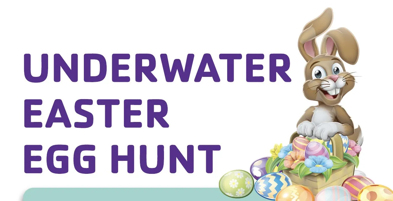 Egg Hunt