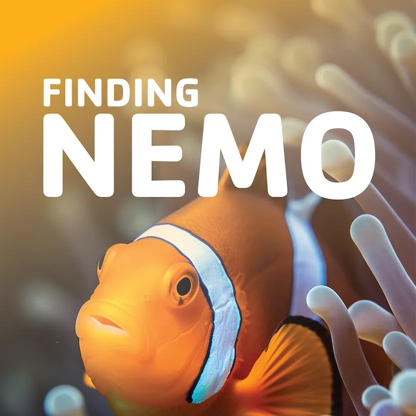 Finding Nemo