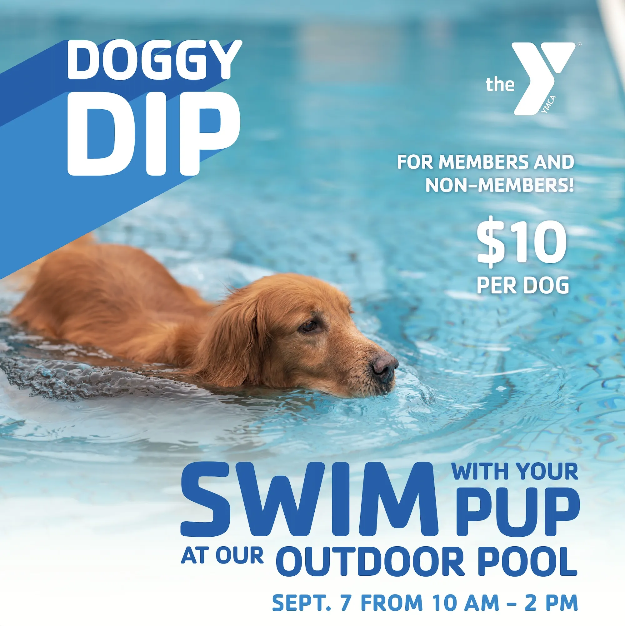 Doggy Swim