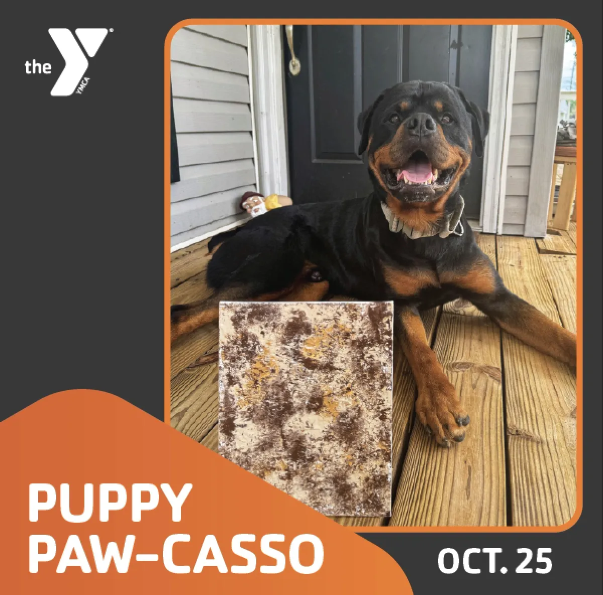 Puppy Paw-casso