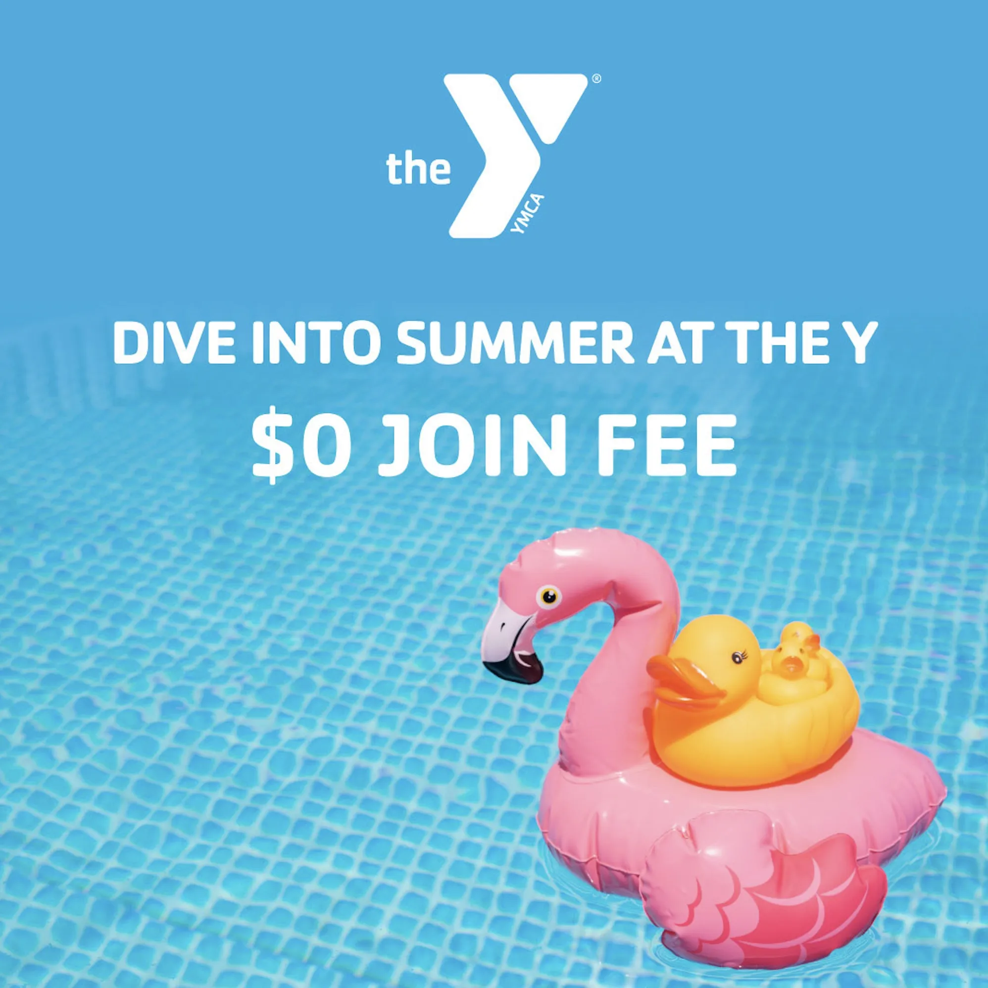 Dive into Summer