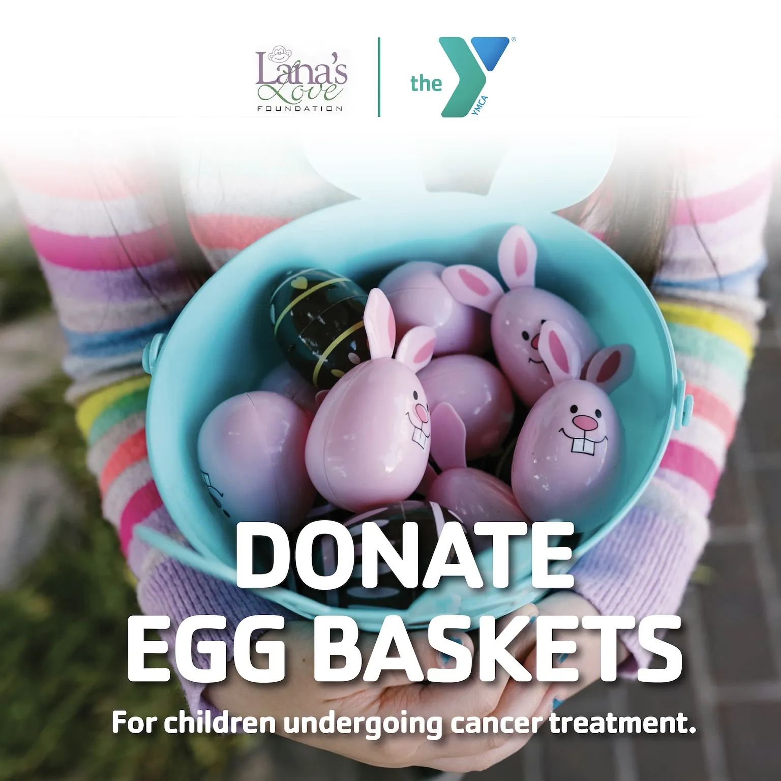 Donate Egg Baskets
