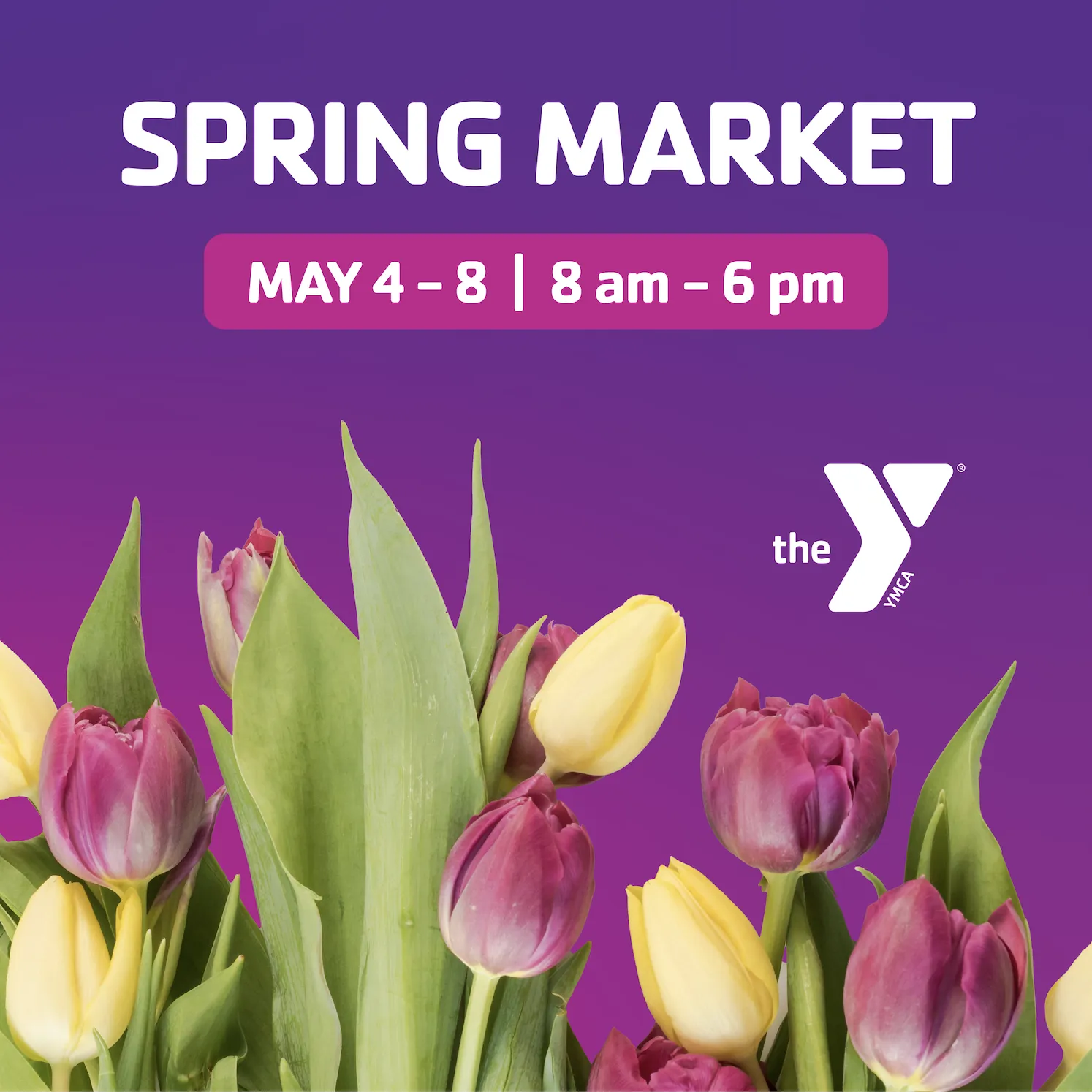 Spring Market Tulips