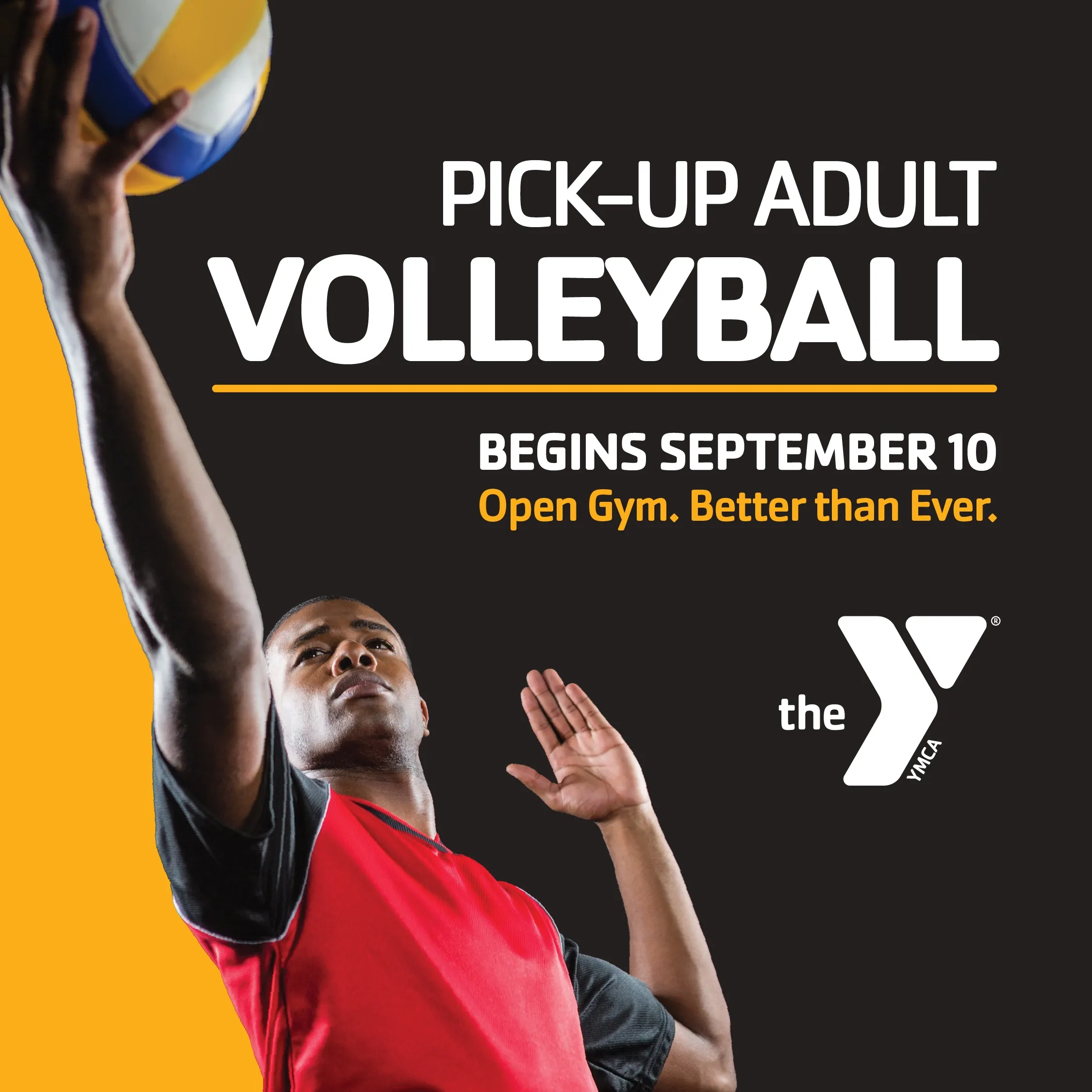 Adult Volleyball
